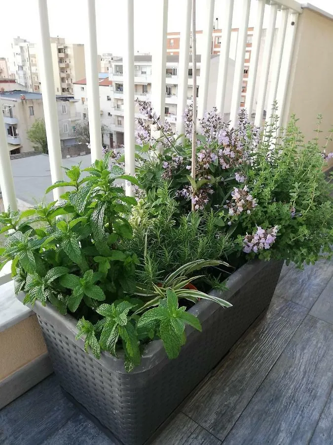 Appartamento Luelen Alghero Apartmán